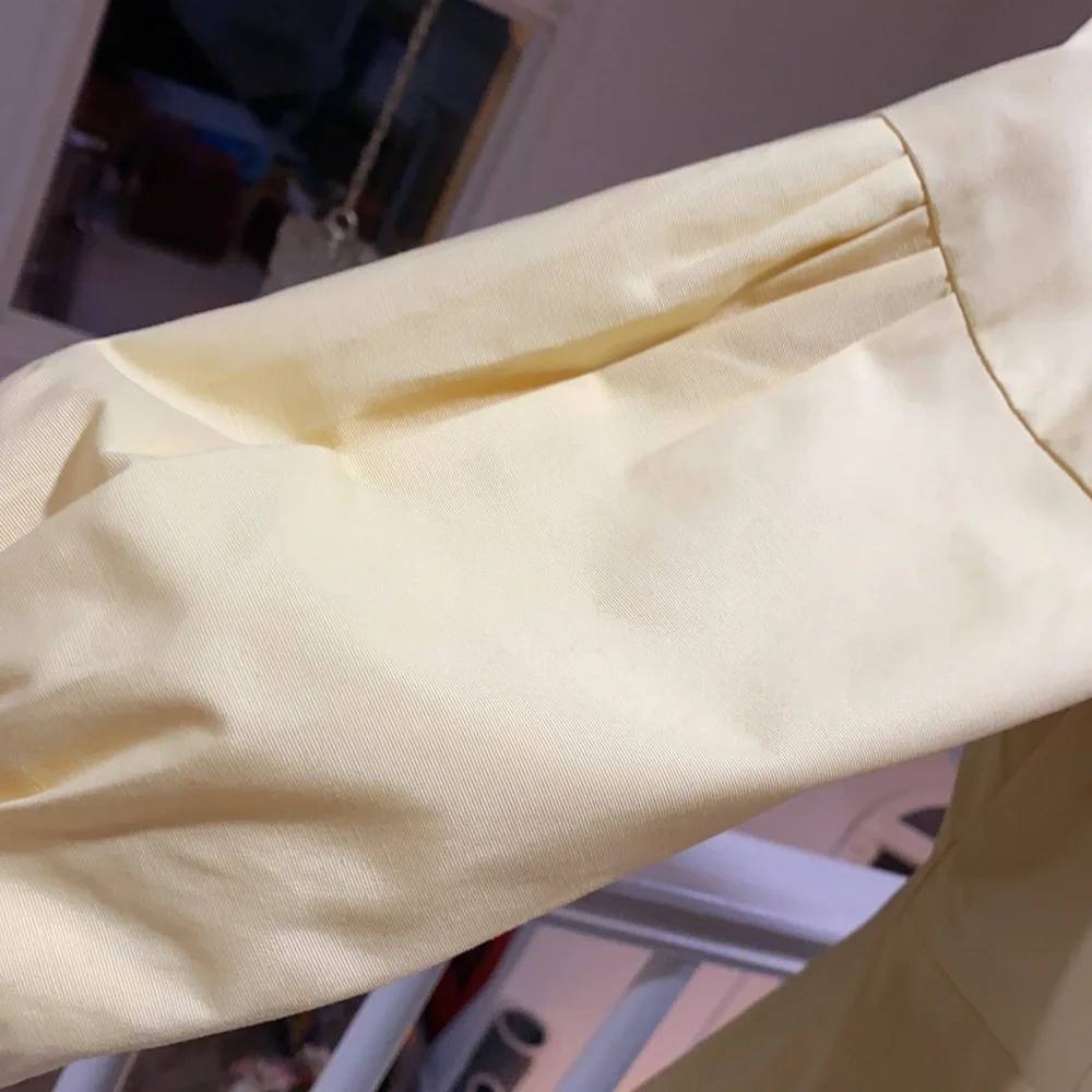 Yellow jacket 🐝 - Picture 3 of 8